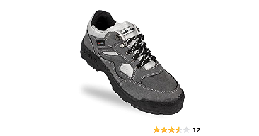 Safety Shoes of Leading Brands